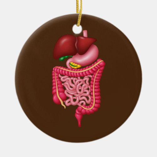 Digestive System Endoscopy Tech Nurse Ceramic Ornament