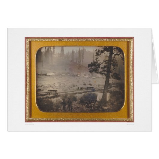 Diggings at Grizzly Flat, El Dorado Co. (40070) (Front Horizontal)