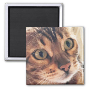 Digital Art Close up of Beautiful Cat Large Eyes Magnet