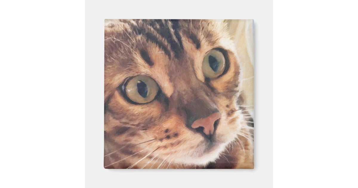 Digital Art Close Up Of Beautiful Cat Large Eyes Magnet Zazzle Com