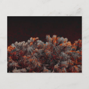Digital art of pine tree with orange color spots postcard