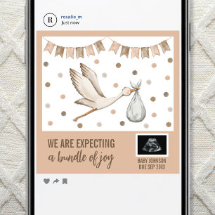 Digital Boho Stork Gender Neutral Ultrasound Announcement