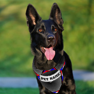 Digital Checker Yin Yang by Kenneth Yoncich Pet Bandana Collar