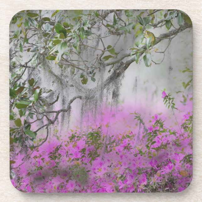 Digital Composite of Azaleas and magnolia tree Drink Coaster (Front)