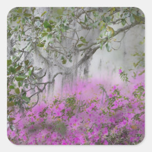Digital Composite of Azaleas and magnolia tree Square Sticker