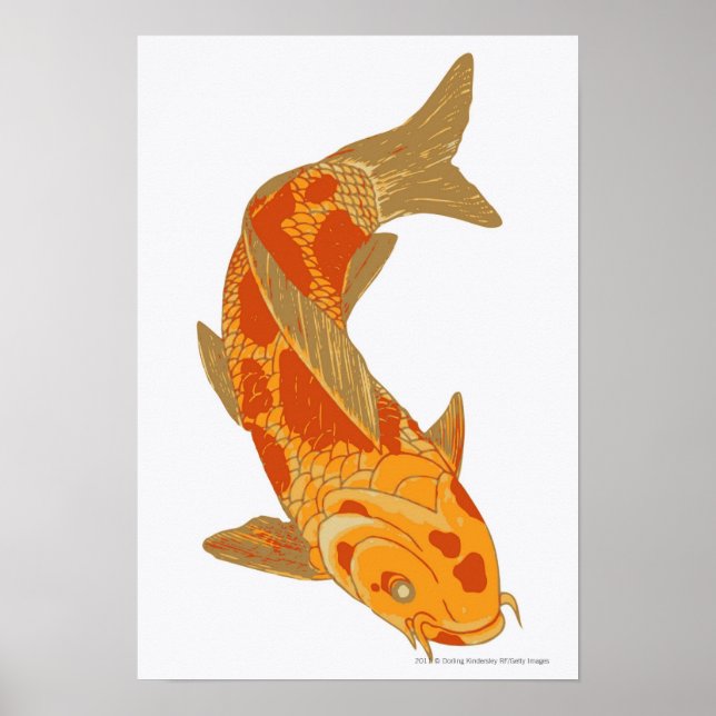 Digital illustration of Koi Carp Poster (Front)
