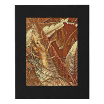 Digital Mixed Media Black Canvas Art