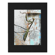 Digital Mixed Media Black Canvas Art