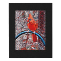 Digital Mixed Media Black Canvas Art