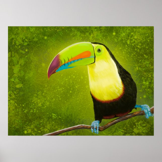 Digital Painting Tropical Jungle Toucan Bird Poster (Front)