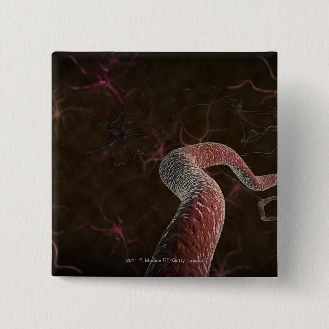 Digital rendering of neurons button (Front)