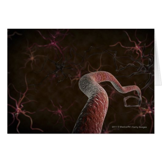 Digital rendering of neurons cards (Front Horizontal)