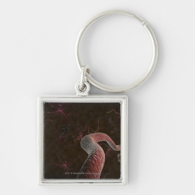 Digital rendering of neurons keychain (Front)