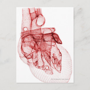 Digital wireframe of the human heart postcard