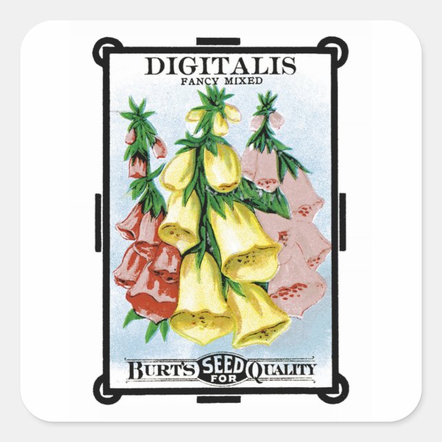 Digitalis Seed Packet Label (Front)