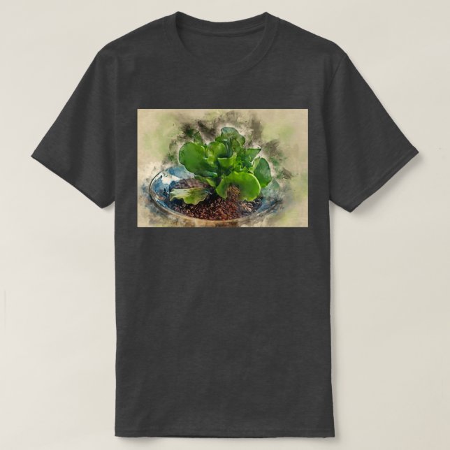 Digitally enhanced image of a potted Adromischus c T-Shirt (Design Front)