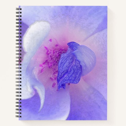 *~* Digitally Modified Rose from Pink to Blue Notebook