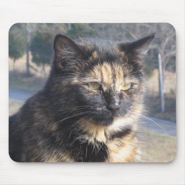 Dignified Cat Mouse Pad (Front)