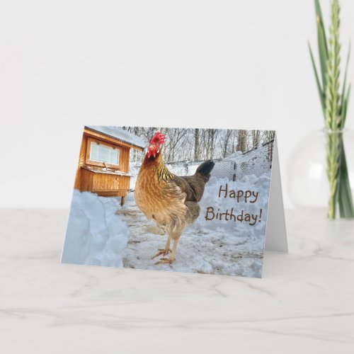Dignified Chicken Happy Birthday Card