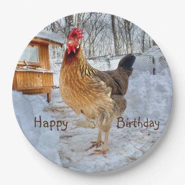 Dignified Chicken Happy Birthday Paper Plates (Front)
