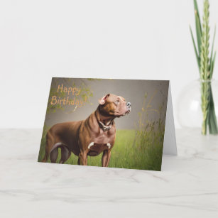 Pitbull Bikini Birthday Card 