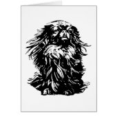 Dignity Pekingese (Front)