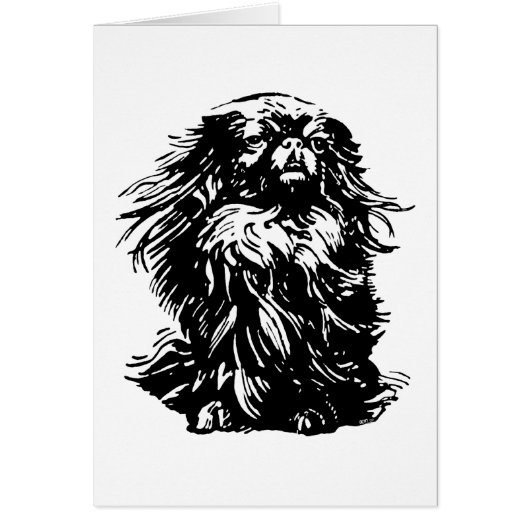 Dignity Pekingese Cards (Front)