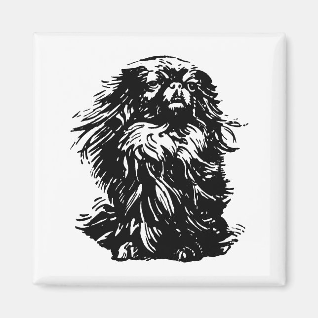Dignity Pekingese Magnet (Front)