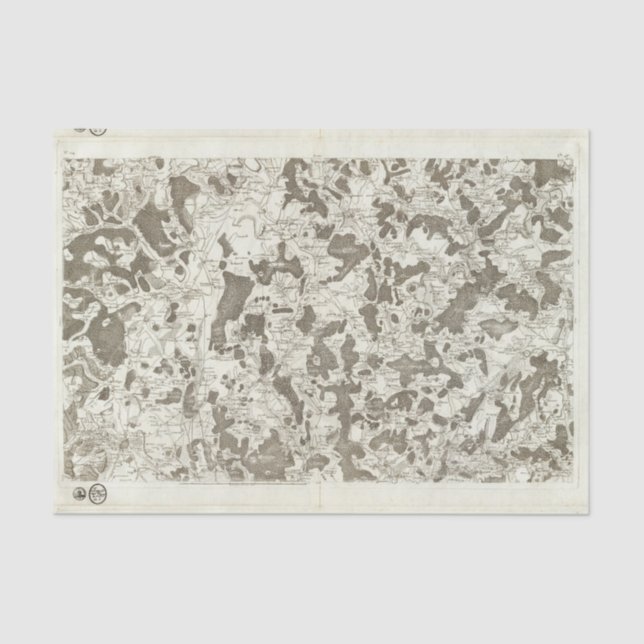 Dijon Tissue Paper (Front)