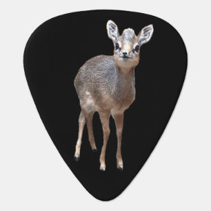 Dik-dik Pick Punny