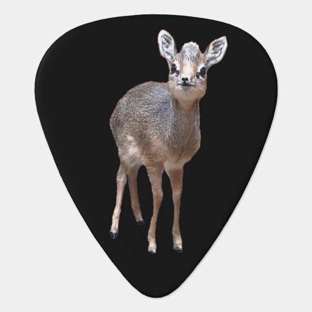 Dik-dik Pick Punny (Front)