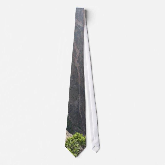 Dike Swarm Neck Tie (Front)