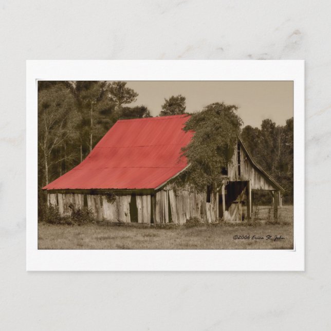 Dilapidated Red-Roofed Barn Postcard (Front)