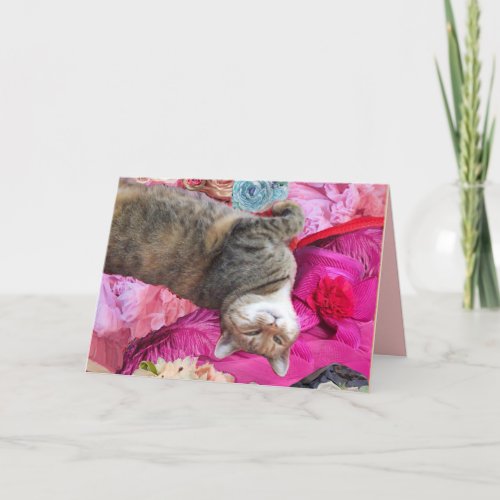 Dilemma of Princess Tatus Cat Card