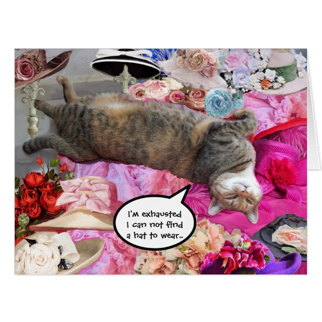 Dilemma of Princess Tatus Cat Cards (Front Horizontal)