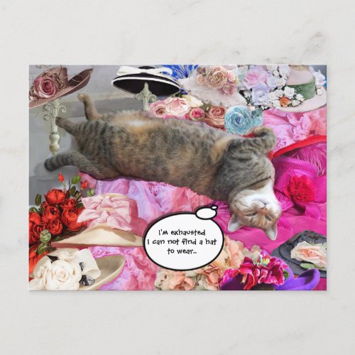 Dilemma of Princess Tatus Cat Postcard