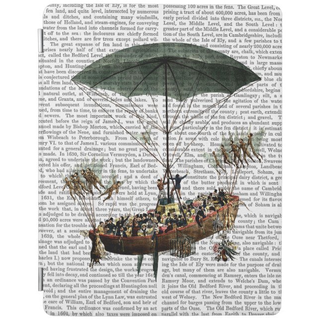 Diligenza And Flying Creatures iPad Air Cover (Front)