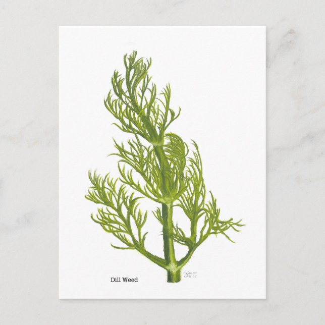 Dill Art Postcard (Front)