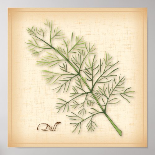 Dill Herb Poster