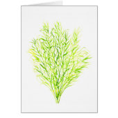 Dill herbs Dill watercolour (Front)