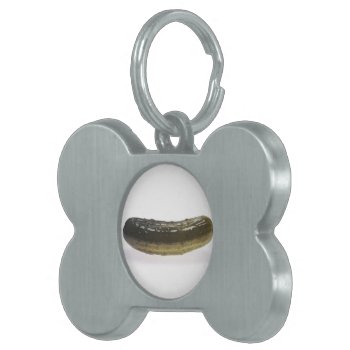 Dill Pickle Pet Name Tag by Alleycatshirts at Zazzle