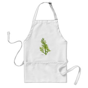 Dill Plant Apron