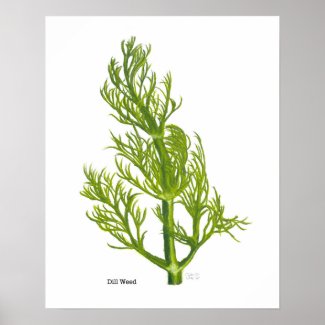 Dill Poster