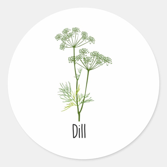 Dill Spices Herb Classic Round Sticker (Front)