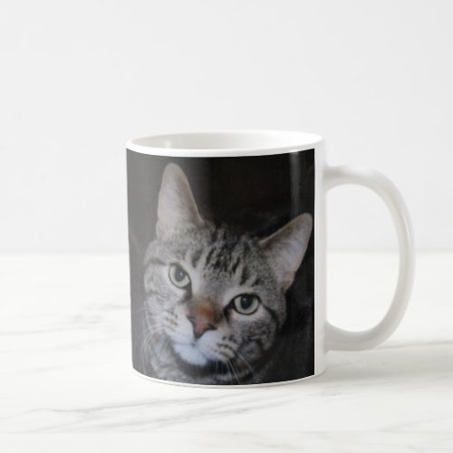 Dillan The Cat Mug