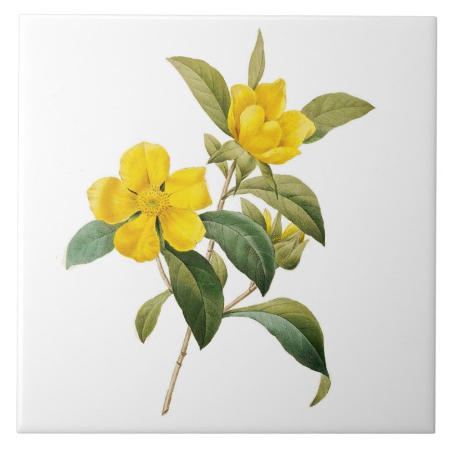 Dillenia Tile (Front)