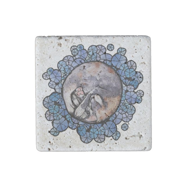 Dilute Calico Cat Cuddles Maine Coon Cats     Stone Magnet (Front)