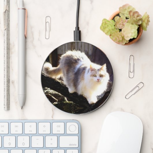 Dilute Calico Maine Coon Cat Clock Wireless Charger (Desk)