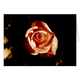Dim Pink Rose Cards