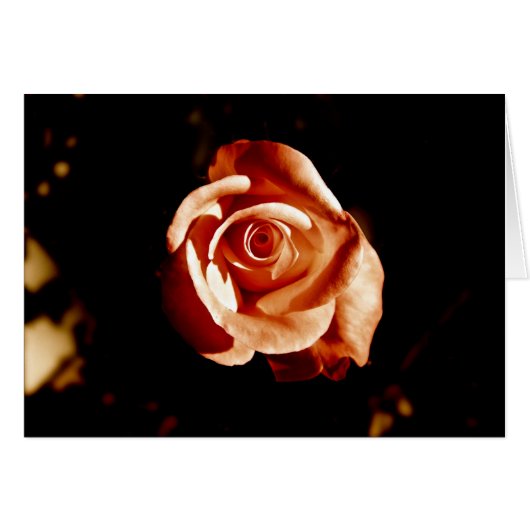 Dim Pink Rose Cards (Front Horizontal)